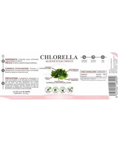 Chlorella - Elimination des métaux lourds