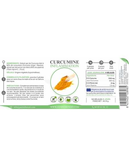 Curcumine - Antioxydant et inflammation
