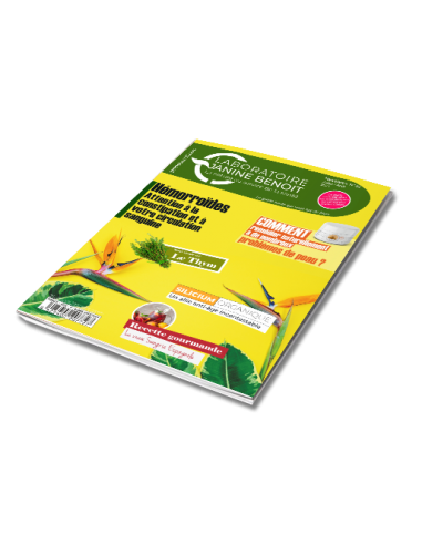 Newsletter 37