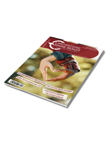 Newsletter Nº52 Novembre/Décembre 2023