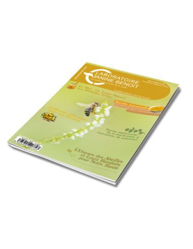 Newsletter Nº58 Novembre/Décembre 2024