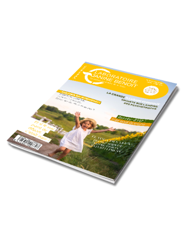 Newsletter Nº62 Juillet/Août 2025