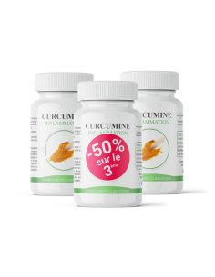 Curcumine gélule – L’épice d’or 2