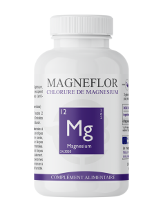 Magnefor gélules – L’essentiel