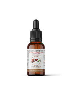 Hepatoflor gouttes – Équilibre hépatique