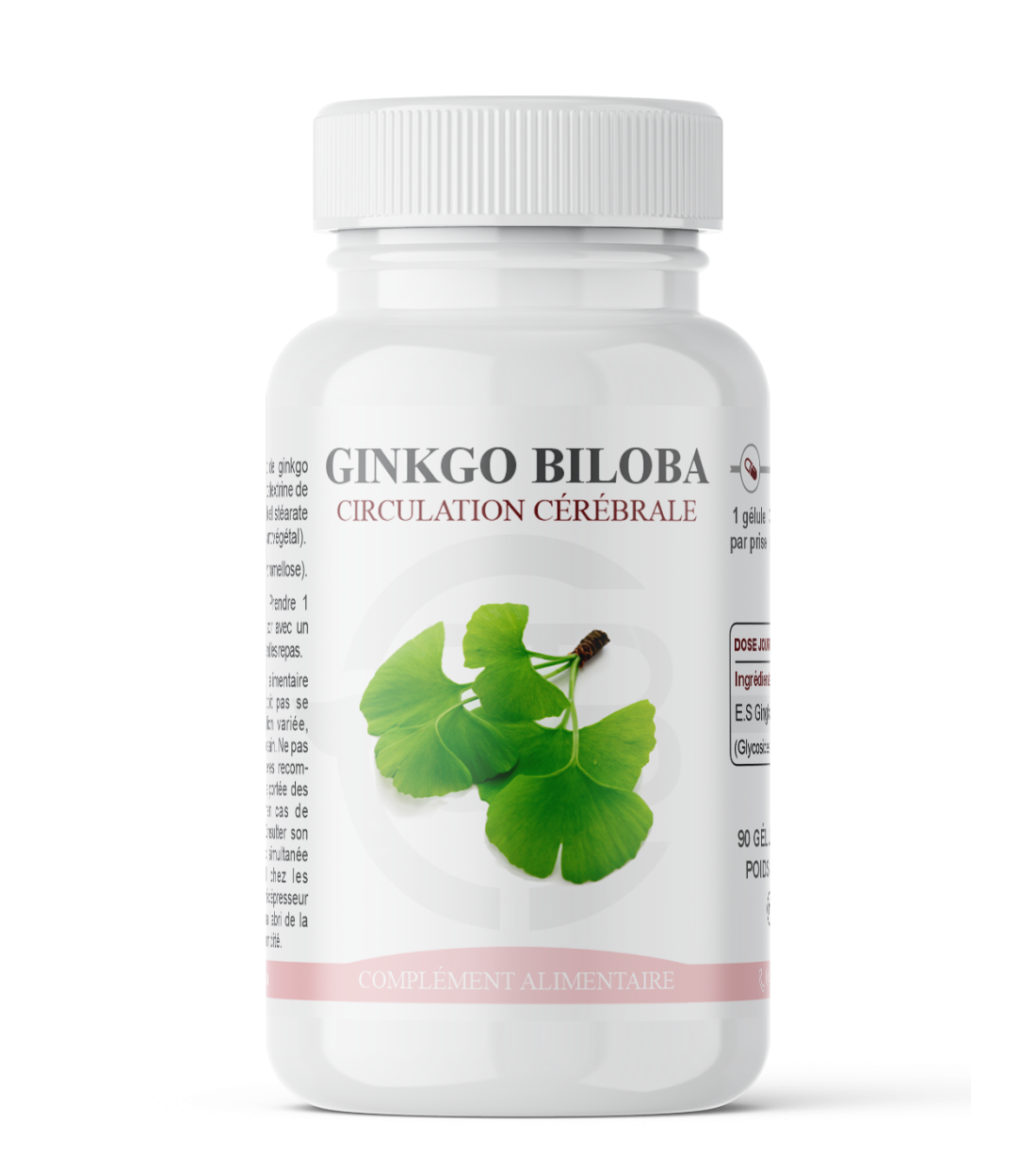 Ginkgo Biloba : Circulation cérébrale