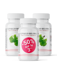 Ginkgo Biloba : Circulation cérébrale 2