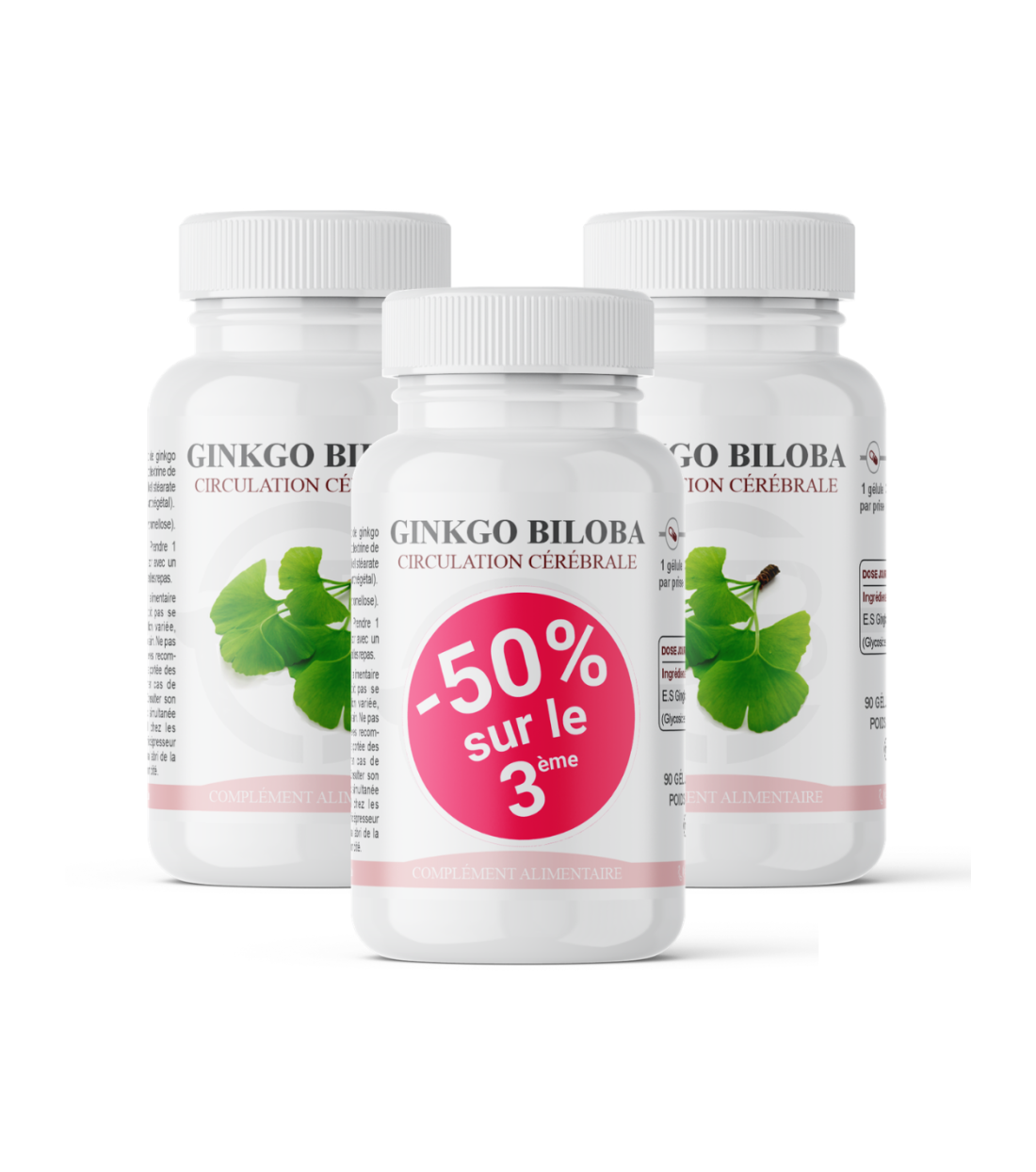 Ginkgo Biloba : Circulation cérébrale