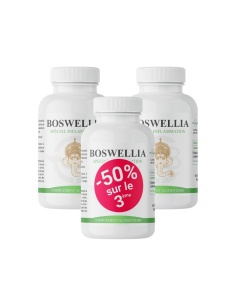Boswellia gélules – articulation, troubles digestifs & respiratoires 2