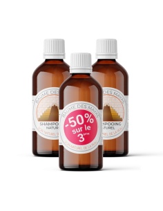 Shampooing au Baume des Mayas- santé et beauté des cheveux 2