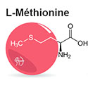 L-Méthionine