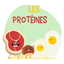Protéines