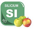 Silicium