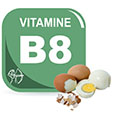 Vitamine B8