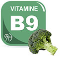 Vitamine B9