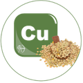 Cuivre