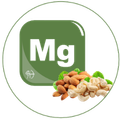 Magn&eacute;sium