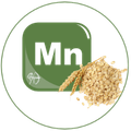 Mangan&egrave;se