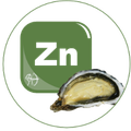 Zinc