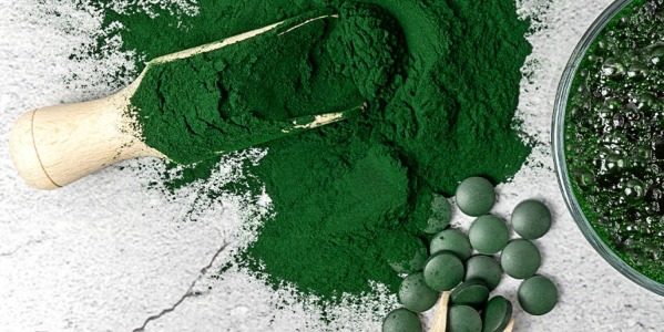 Chlorella, une algue magique ?