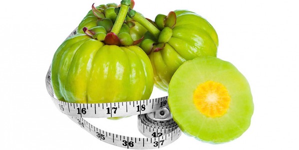 Garcinia Cambogia : en finir avec le grignotage