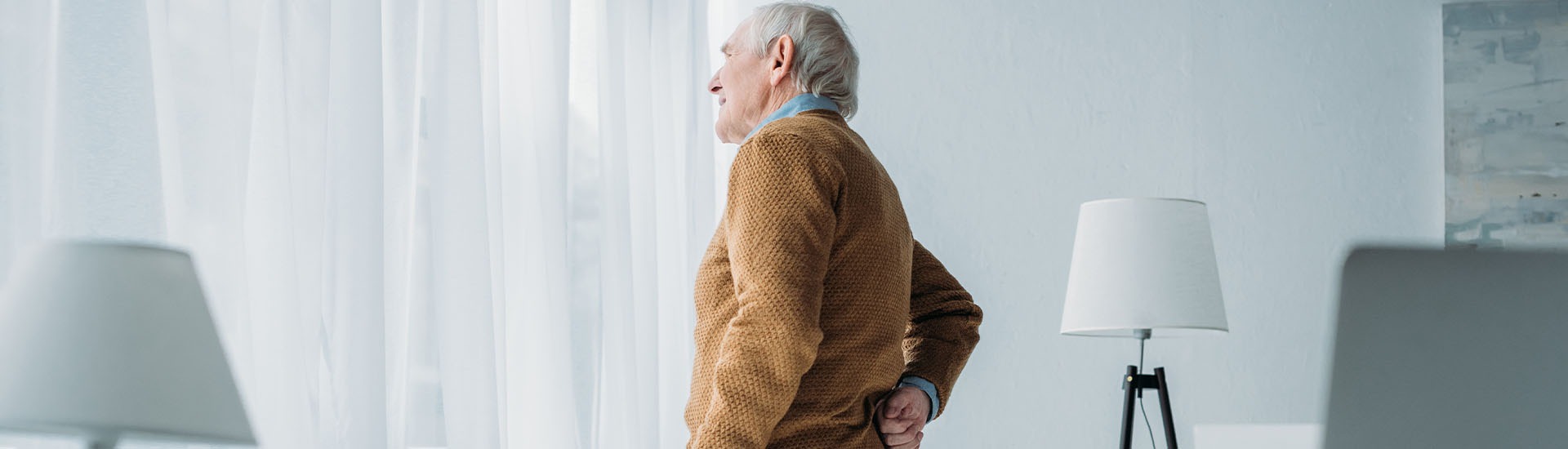 L'harpagophytum : une plante anti-inflammatoire